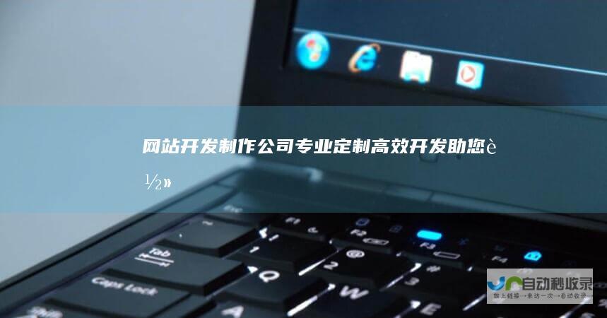 开发制作公司专业定制高效开发助您轻