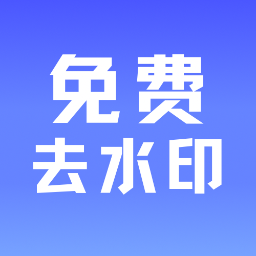 视频去水印正版