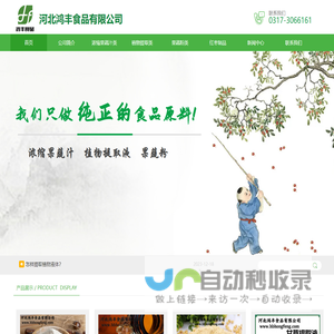 浓缩果蔬汁,植物提取液,果蔬粉,红枣制品-河北鸿丰食品有限公司