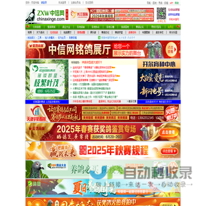 中信网-信鸽信息网
