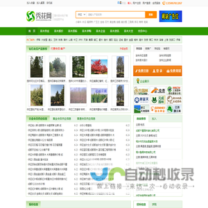 秀花网-绿化苗木花卉推广B2B网站