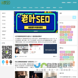 老叶SEO_地区SEO_百度优化_SEO优化_SEO技术_SEO服务_自媒体推广_网站推广_SEO百科_laoyeseo.com