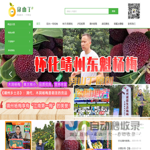 湖南怀化靖州杨梅_麻阳黄桃、桐木湘珍珠刺葡萄_柿子板栗_洪江阳光一号桔柚/黄金贡柚_安江雪峰冰糖柚_麻阳锦蜜冰糖橙_阿蜜达_猕猴桃等新鲜水果采摘和苗木批发_价格实惠