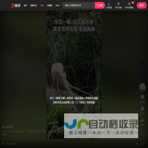 精彩推荐-快手