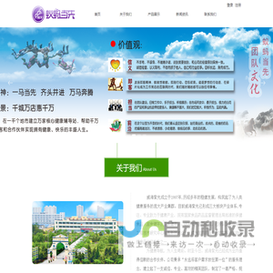 蚂蚁粉 黑蚂蚁粉  蚂蚁粉胶囊 一蚁马当先