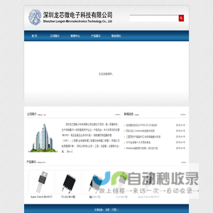 深圳龙芯微电子科技有限公司