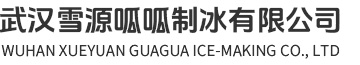 武汉食用冰_工业冰_降温冰_保鲜冰_定制冰_武汉雪源呱呱制冰有限公司